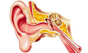 Параганглиома среднего уха – причины, симптомы и лечение