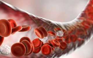 Функции эритроцитов – транспортировка кислорода и еще 5 важных предназначений красных кровяных телец
